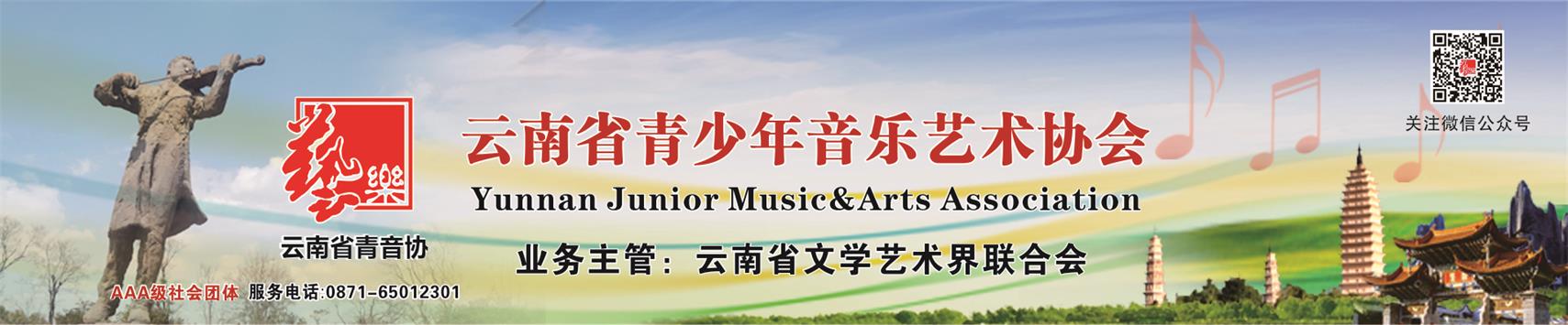 云南省青少年音乐艺术协会
